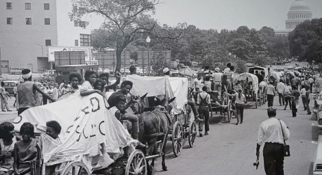 1 mule train 1 mule train