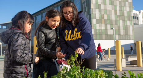 Elementary students in school garden Students examine plants in their school garden.