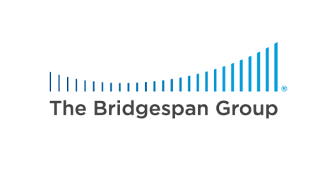 bridgespan bridgespan